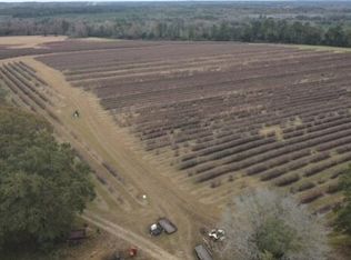 51 Lamar Ramey Dr, Waynesboro, MS 39367