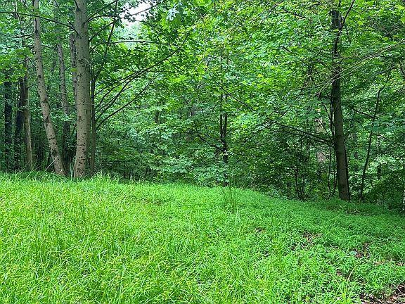 2nd image of 40 Timberwalk Est
