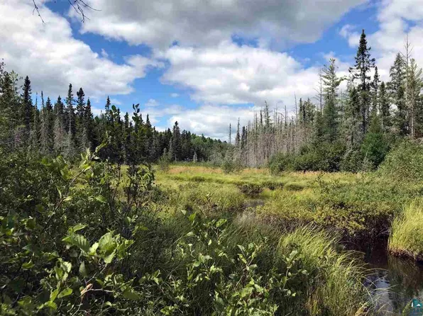 Xxx17 Lost Lake Rd, Hovland, MN 55606