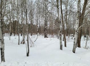 6828 N Zett Rd, Winter, WI 54896