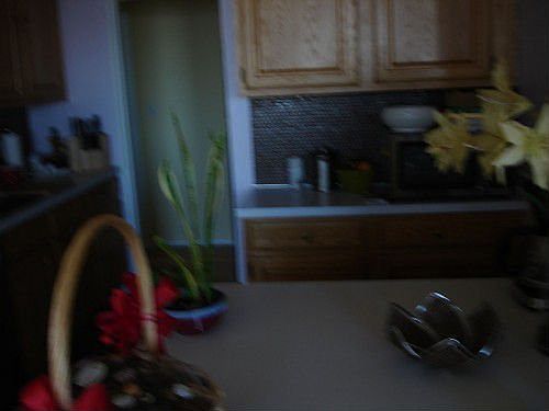 3rd image of 1600 Parker Ave APT 30A