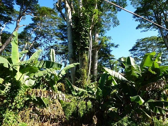 3rd image of Kahukai St