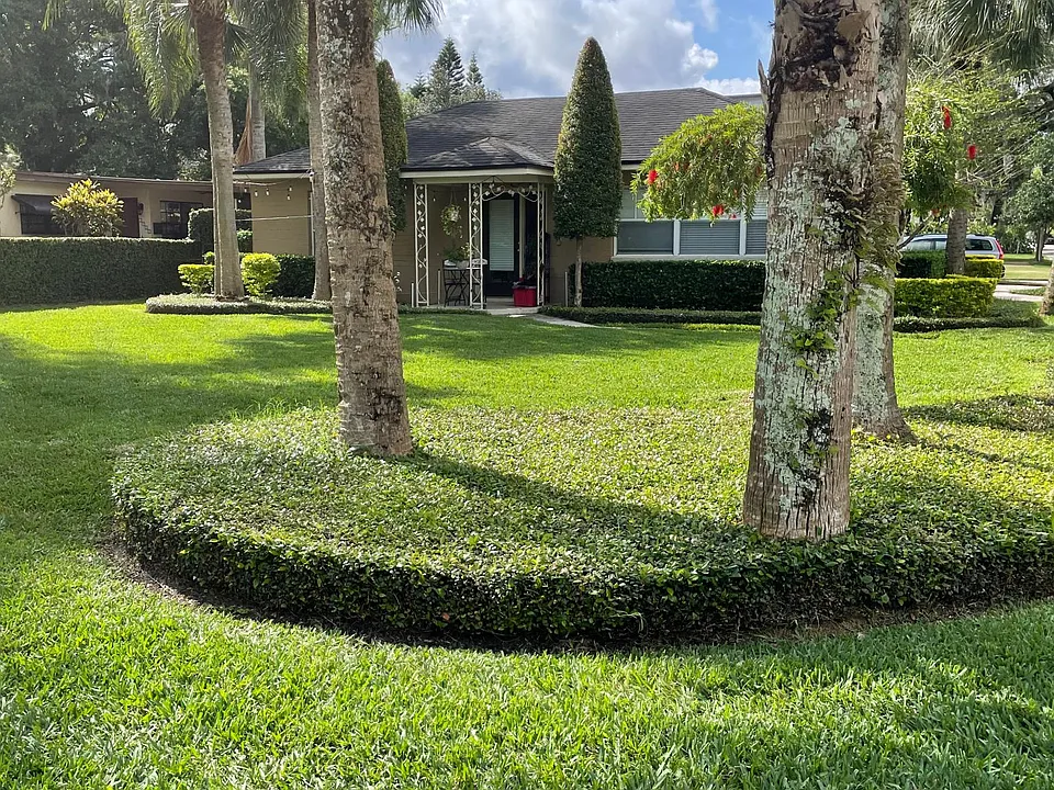Front yard landscaping