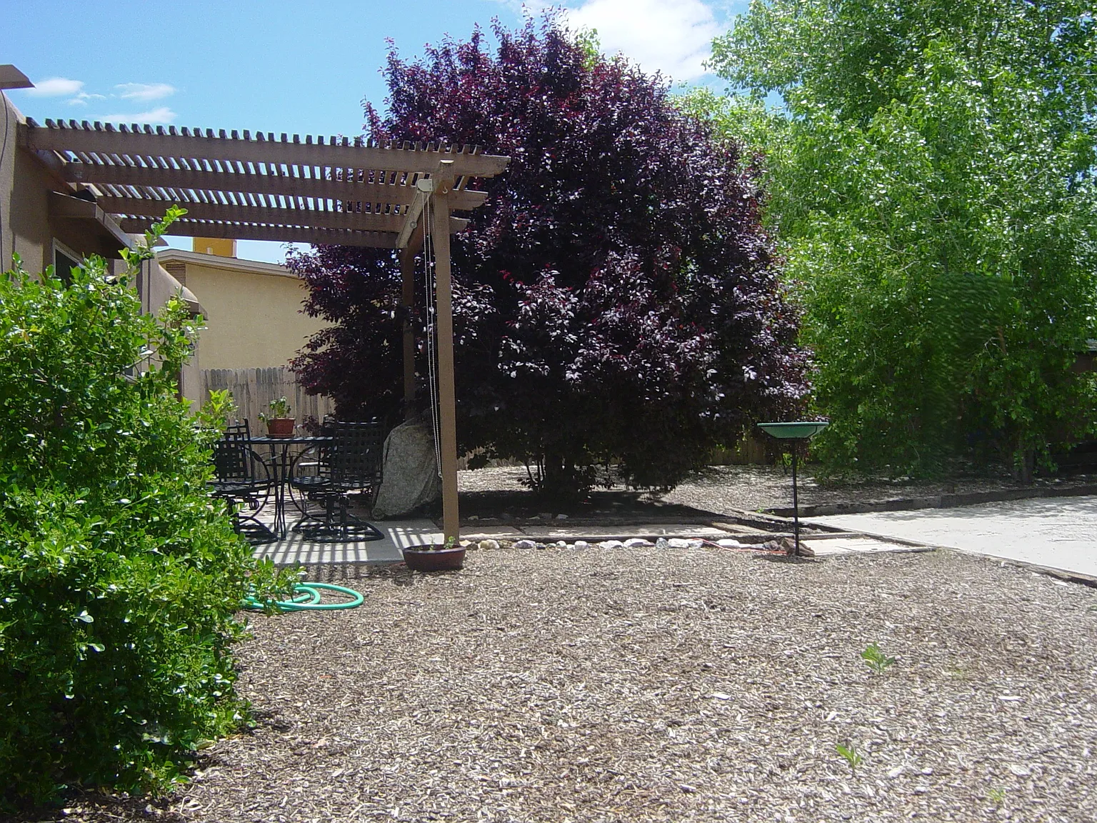 3 bed, 1300 sqft, $2,450 — Photo 3