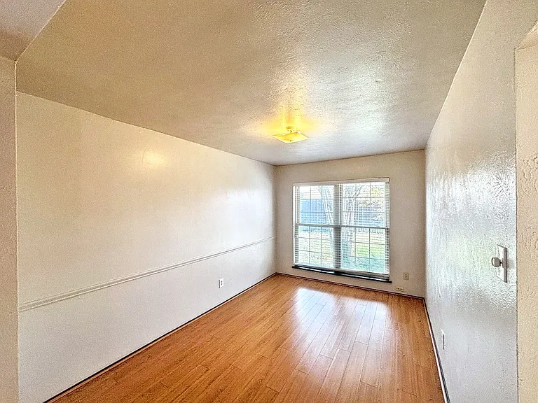 10238 White Elm Rd — Photo 24