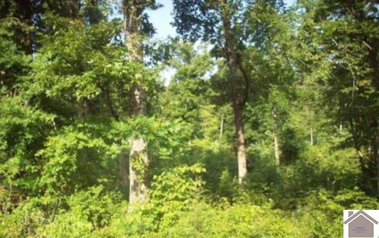 1st image of 0 Shannon Creek Rd #672-674