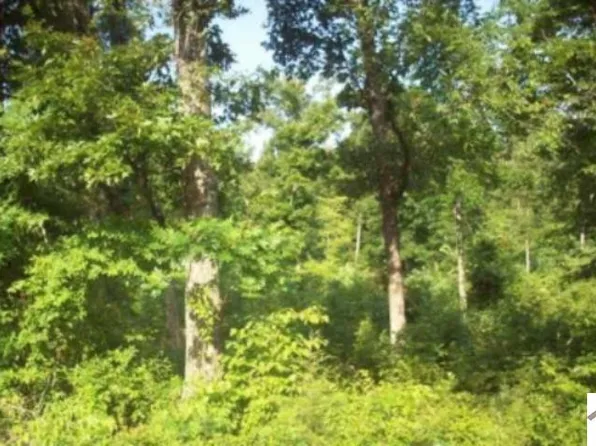 0 Shannon Creek Rd #672-674, New Concord, KY 42076
