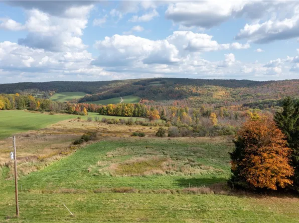 Clark Rd #2, Alfred Station, NY 14803
