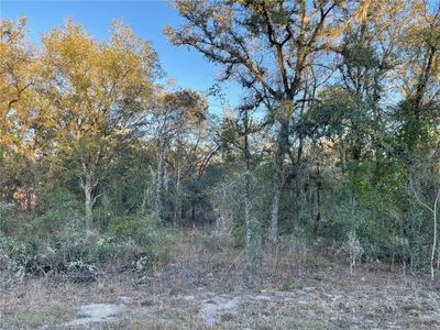 Tbd Sw Willow Rd, Dunnellon, FL, 34431