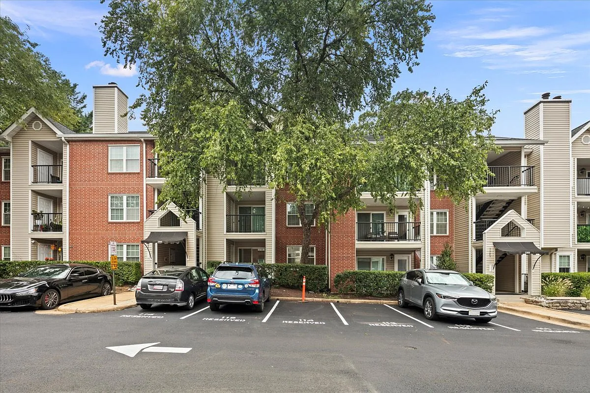 1 bed, 530 sqft, $2,000 — Photo 2