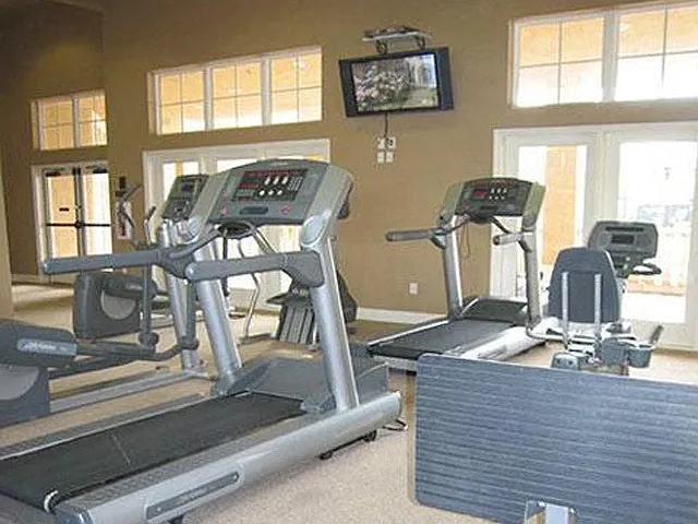 Workout in the Gym