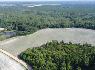 5224 Spotted Fawn Rd, Patterson, GA 31557