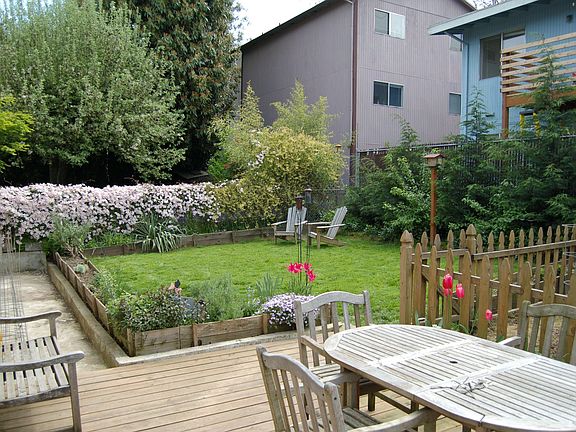 Back yard