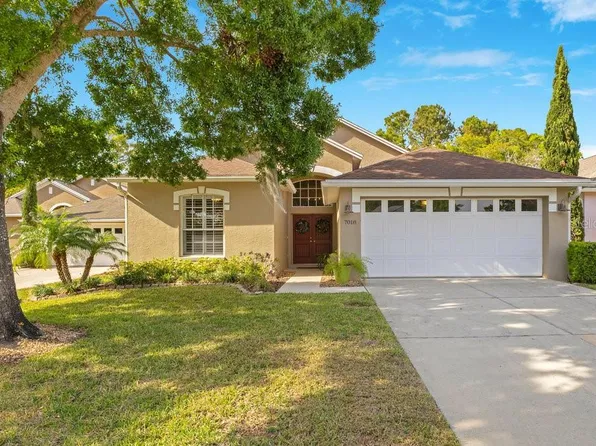 7018 Arcadian Ct, Mount Dora, FL 32757