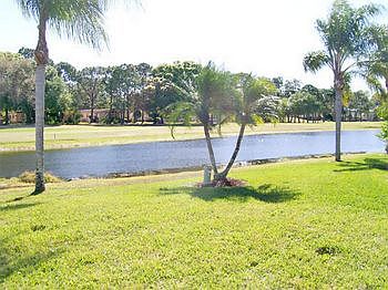 Picture1