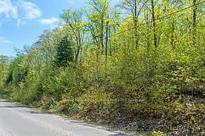 5th image of 1835B Lorimer Lake Rd N