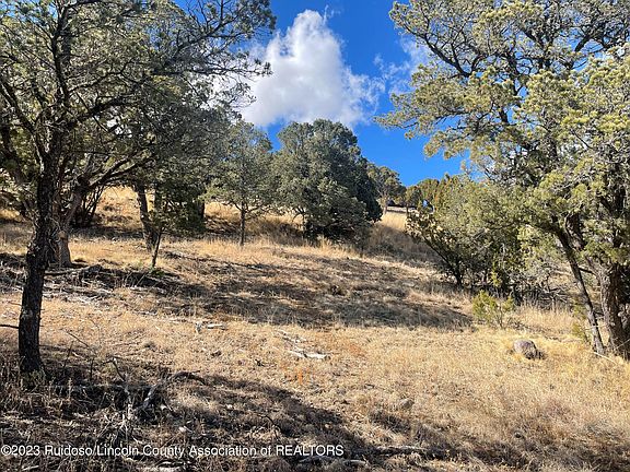 3rd image of L56 Sandesta Dr