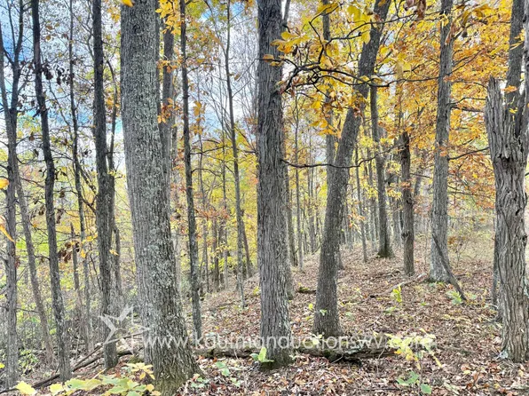 0 Pisgah Ridge Rd, Clay, WV 25043