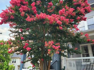 1433 Perry Pl NW FLOOR 2, Washington, DC 20010