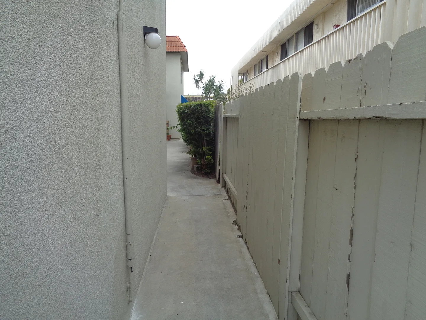 205 — Photo 2