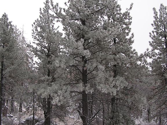 5th image of 10538 Sunrise Hwy