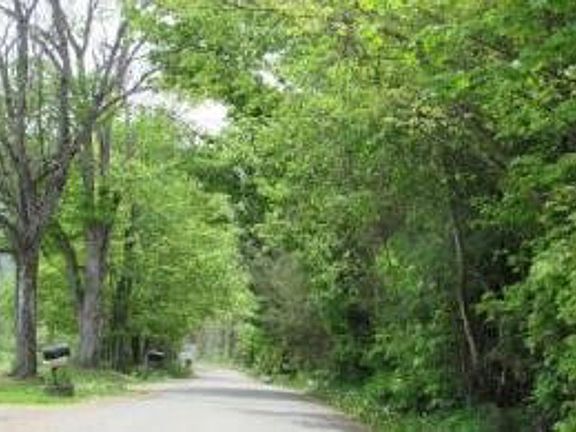 Exterior Neighborhood (street photo)