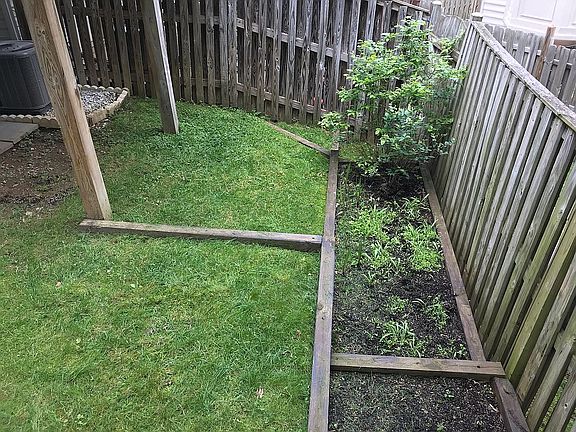 Garden (Blueberry bush)