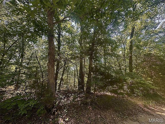 2nd image of 0 Estates Ln