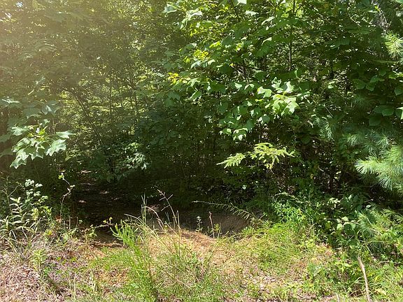 4th image of 23 Tall Oak Way Lot Tr2