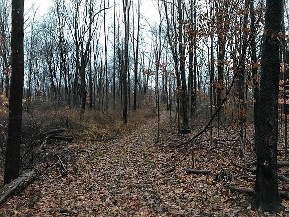 5th image of 19312 Township Road 284