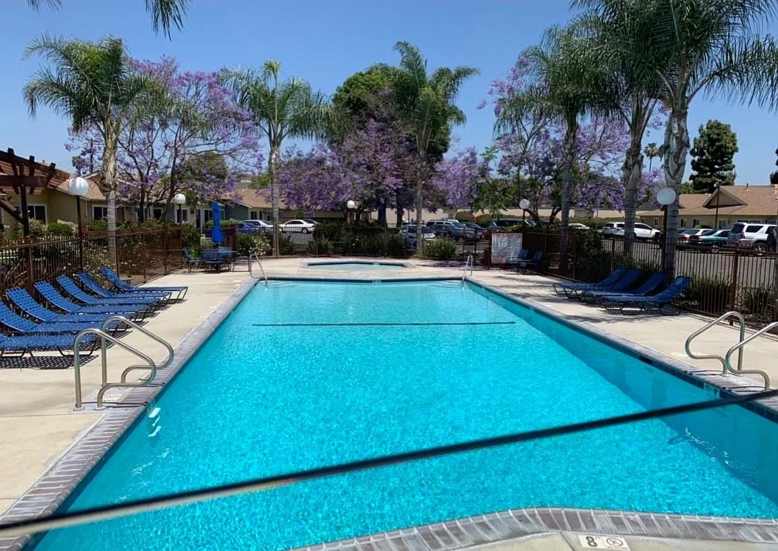 3 bed, $3,395 — Photo 3