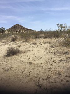 Vic Ave #N8-120, Palmdale, CA, 93591