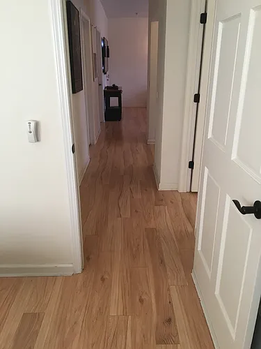 64 Clingman Ave #105 Photo 1