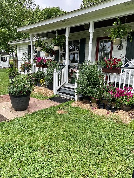 Simple country living 