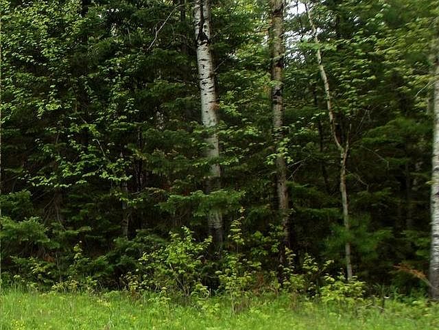 1st image of ON META LAKE RD lot