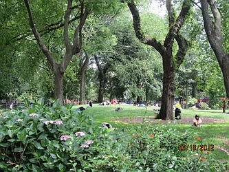 Rented by Majesty Management