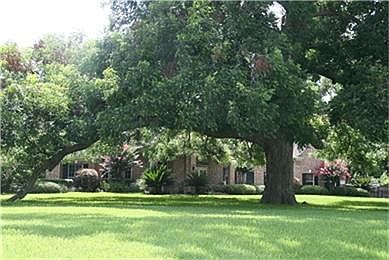 3rd image of 2507 La Salle Ln