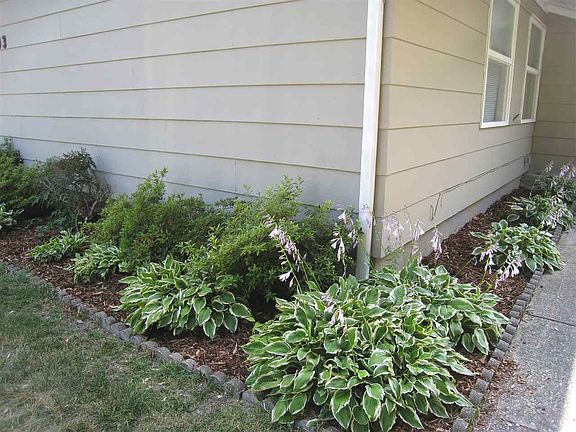 4th image of 1103 Ebeling Dr