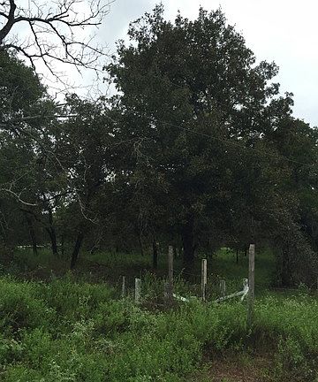 4th image of 26003 Sand Cliff Dr