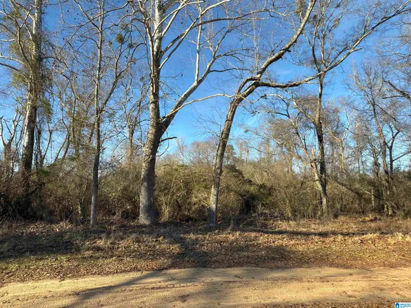 0 County Road 863, Maplesville, AL 36750
