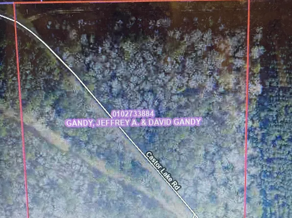 Tbd Castor Lk, Leesville, LA 71446