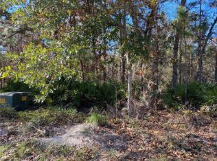 13 Boston Ivy Ct, Homosassa, FL 34446