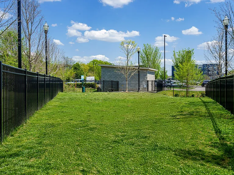 Dog Park
