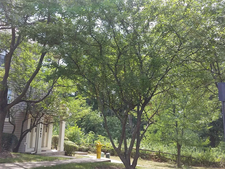 11S495 Rachael Ct — Photo 2
