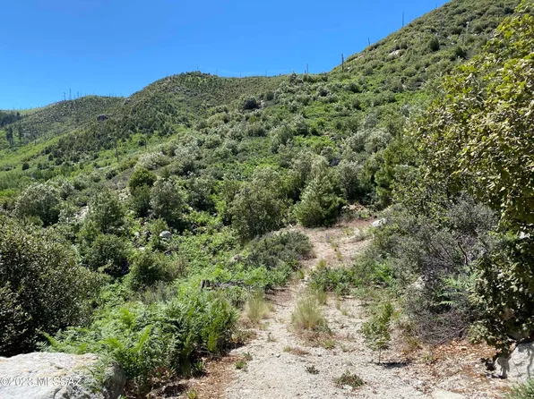 11162 E Upper Goat Hill Rd, Mount Lemmon, AZ 85619