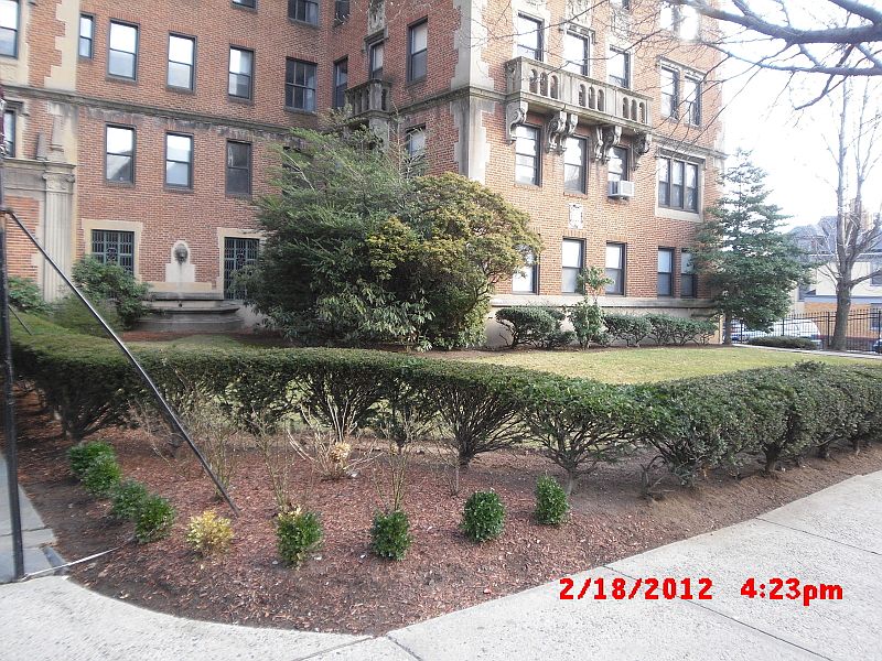 1st image of 363-377 Mt Prospect Ave #8DW