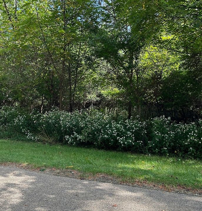 1st image of 306 Platte Dr