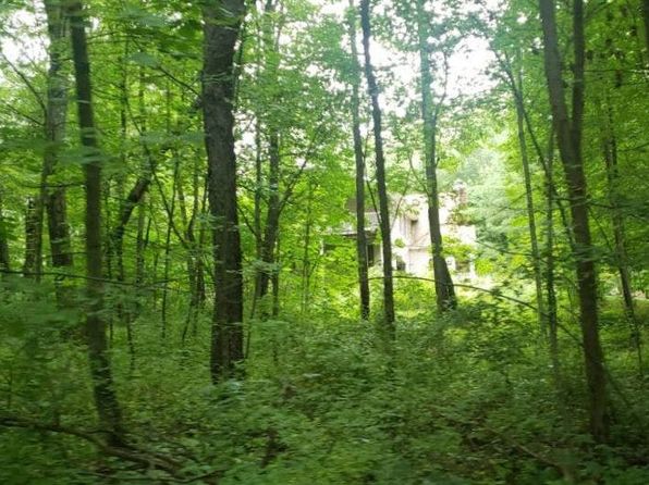 14950 Loon Lake Dr, Bellevue, MI 49021