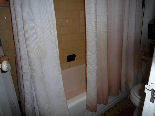 Rented by New Yorker Realty | media 17