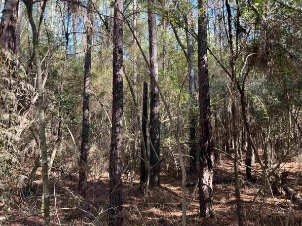 60 Butler Rd, Greensburg, LA 70441